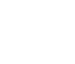 Logo Van Schmiede Footer